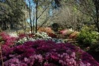 Connect Coaches Garden Tours Image -62b992dba311b